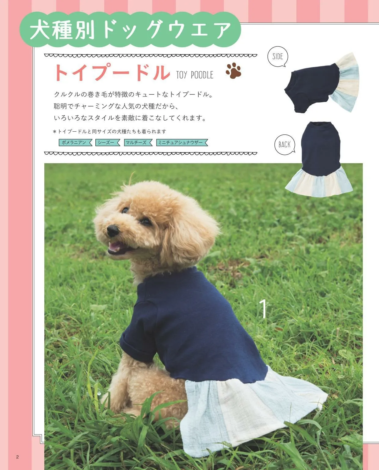 Dog Wear and Convenient Goods